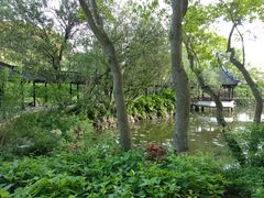 -上海醉白池公园