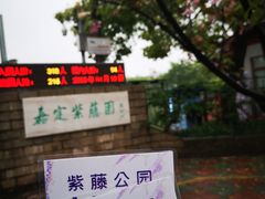 -嘉定紫藤园