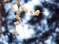 -月坛公园