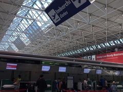 -米兰马尔彭萨国际机场