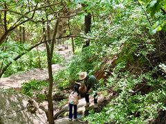 -大岭沟猕猴桃谷风景区