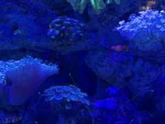 -上和臻品中国菜(花园街店)