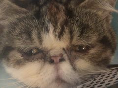 -金逸影城(中关村店)