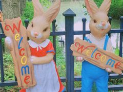 -合肥滨湖国家森林公园