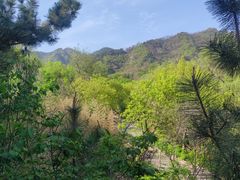 -九如山休闲旅游度假区