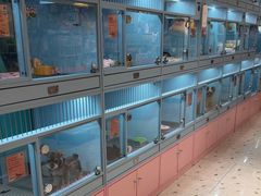 -FAELING PETS美天灵宠物(合生汇店)