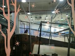 -SNOWGATE滑雪·华雪梦(老西门店)