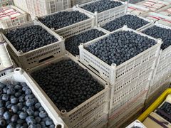 -东方鼎信农副产品交易中心