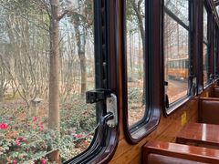 -合肥滨湖国家森林公园