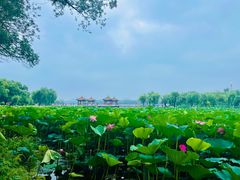 -长春市南湖公园