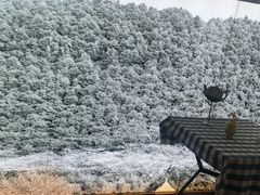 -大张烙馍村(泉山店)