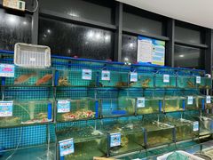 水产区-锦里海景海鲜餐厅.三亚老字号(亚龙湾中心广场店)