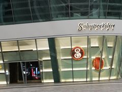 -棕榈MALL