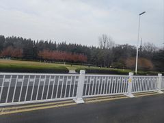 -青岛海滨风景区
