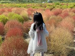 -映月湖中央公园