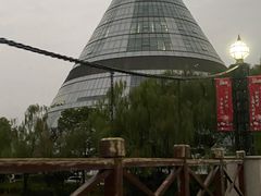 -上海市第一人民医院(松江南部)