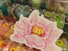 -十八字金·银饰·拼豆·开蚌DIY(魏公芳华里店)