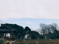 -梁鸿国家湿地公园