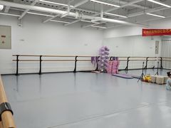 -中央芭蕾舞团·中芭艺蕾(酒仙桥明星校区)
