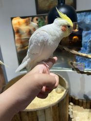 -Zoolung Zoolung动物主题公园(海信广场店)