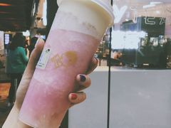 多肉粉荔-喜茶(上海正大广场店)