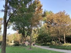 -上海海湾国家森林公园