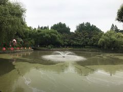 -瀛洲公园