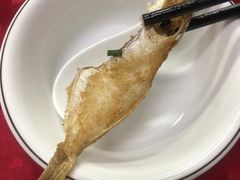 -蛇口康乐快餐鱼仔档(翠苑小区店)