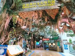 -正佳雨林生态植物园