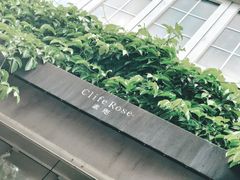 门面-素咫咖啡CLIFEROSE