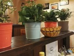 -绝城芋儿鸡(犀浦旗舰店)