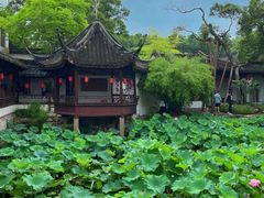 -上海醉白池公园