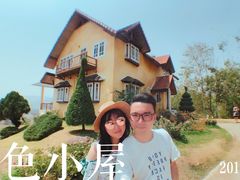 -黄色小屋