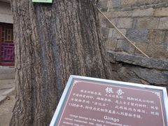 -青岛崂山太清宫