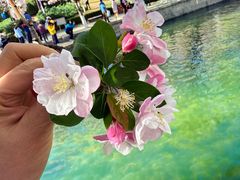 -元大都城垣遗址公园