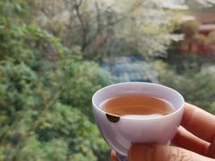 -同里湖度假村(二期店)