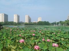 -海天湖公园