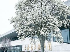 -上海辰山植物园