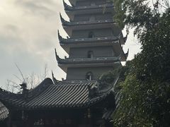 -生宇山珍野生菌汤锅•始于1999(双流古塔店)