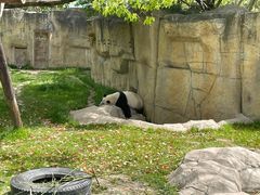 -上海野生动物园