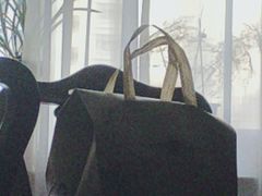 -胜博殿日式炸猪排(富力广场店)