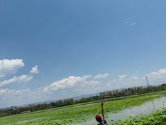 -西双版纳傣族园