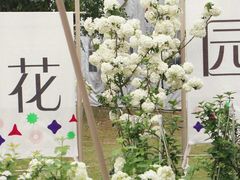 -深圳仙湖植物园