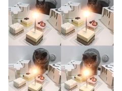 -积慕Cake(解放大道店)
