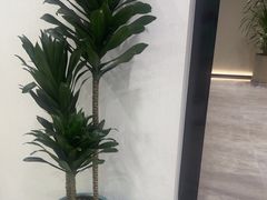 -W·24H茶楼·棋牌·掼蛋(望京店)