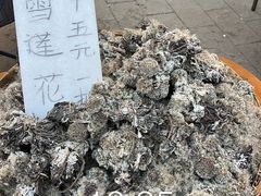-松州古城