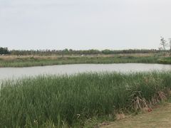 -春花秋色城市公园