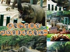 -熊猫自助餐厅.萌趣城堡(长隆熊猫酒店)