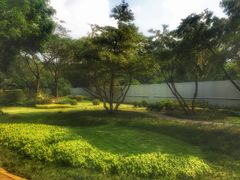 -晓港公园