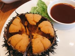 黑海胆-海味当家·蒸锅海鲜(星海公园店)